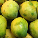 Neelam-Mango